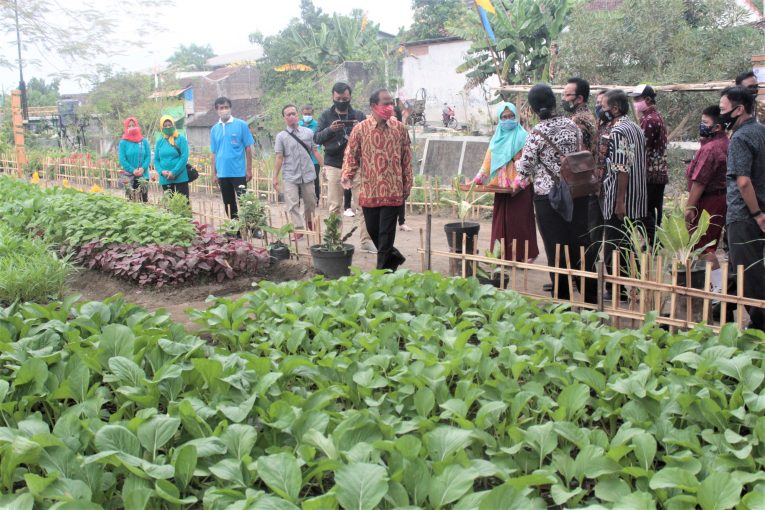 PIAT UGM Supports The Creation of Integrated Urban Farm System in ...