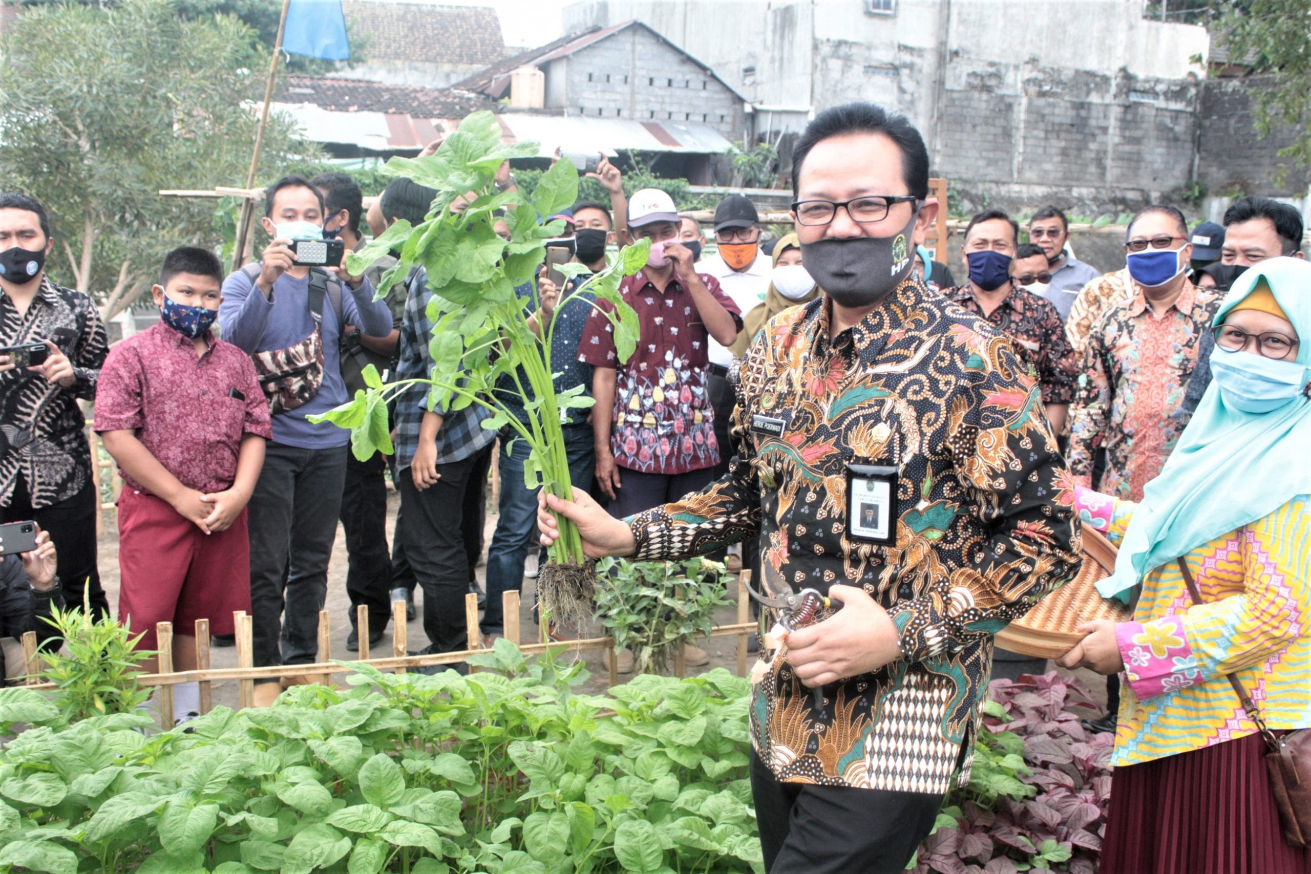 Antusiasme warga masyarakat serta Wakil Walikota Yogyakarta yang didampingi beberapa pejabat terkait sedang menunjukkan hasil tanam panen bayam.