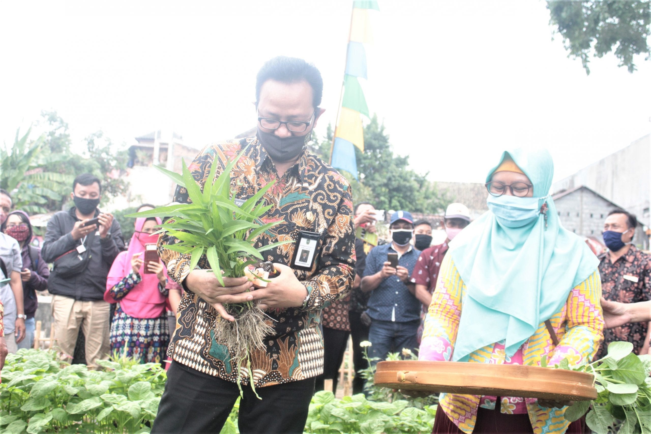 Drs. Heroe Poerwadi, MA menunjukkan hasil panen tanaman kangkung.